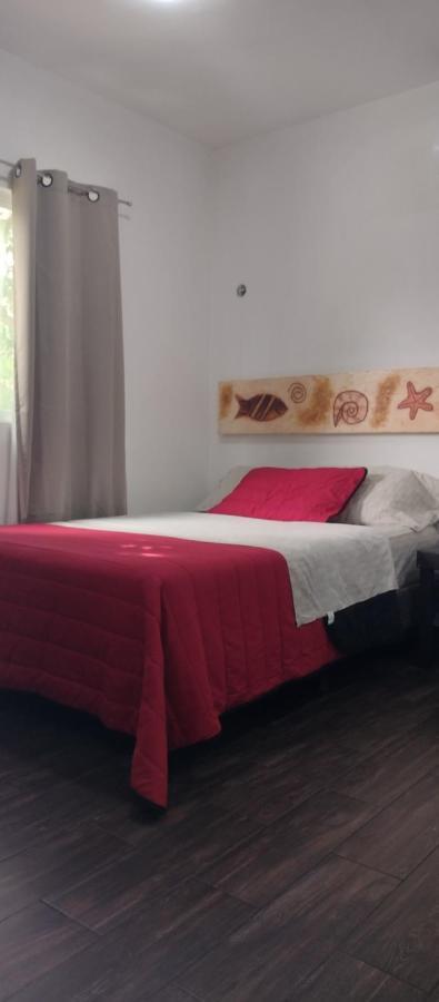 Estudio Zona Centro Cerca De La Terminal Ado Cancún Buitenkant foto