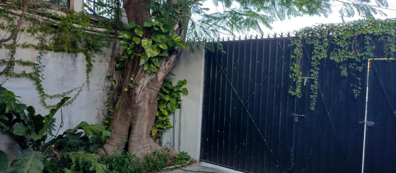Estudio Zona Centro Cerca De La Terminal Ado Cancún Buitenkant foto