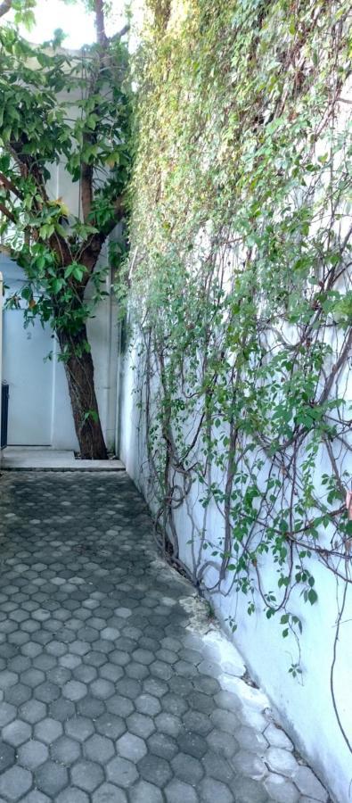 Estudio Zona Centro Cerca De La Terminal Ado Cancún Buitenkant foto